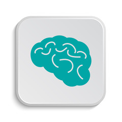 Brain icon