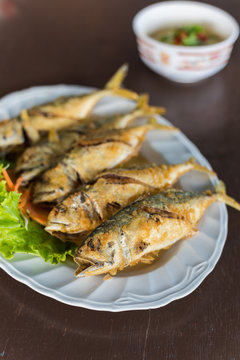Fried mackerels in white dish. Selective Focus.