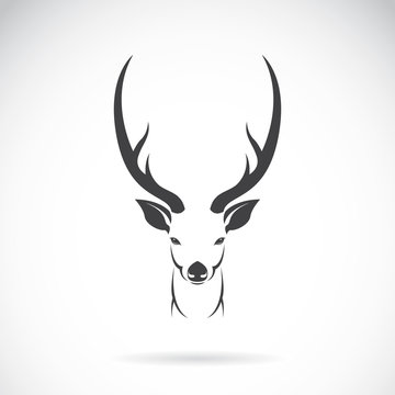 Vector image of an deer head design on white background, Vector