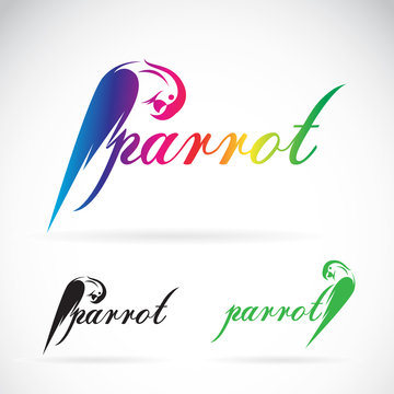 Vector image of a parrot design on white background. / Vector pa