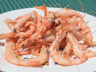 A plate of pink cooked shrimps. They are in their shells and their black eyes and feelers can be seen. The plate is on a green table outside.