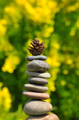 Pine-tree bark tower with cones
