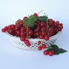 Ягоды  красной  смородины  в белой вазе 