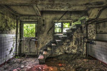 Fototapeta na wymiar Cellar Staircase in an abandoned house