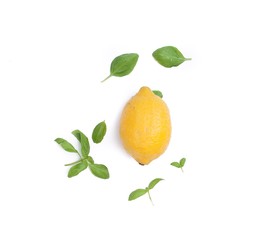 Fresh lemon with white background and basil leaves.