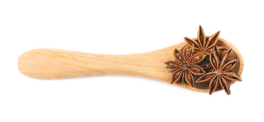 Chinese star anise seed isolated