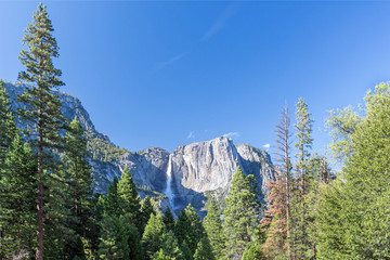 spring landscape of Yosemite valley with waterfall
