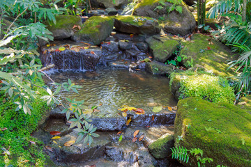 Artificial waterfall in botanic garden
