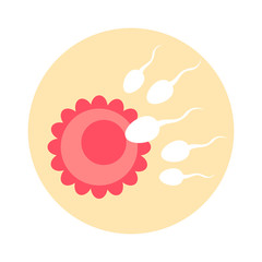 Ovum fertilization vector illustration.
