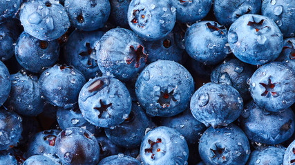 Blueberry with drops of water