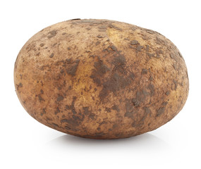 Fototapeta premium Potato