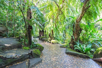 Cobble stone street, natural background.

