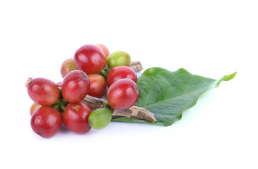 Coffee bean on white background