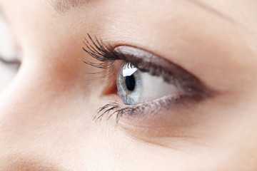 Obraz premium Close-up photo of a beautiful woman's eyes