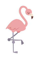 Cool pink flamingo vector illustration.