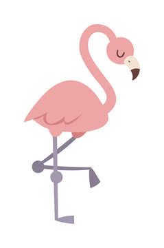 Cool pink flamingo vector illustration.