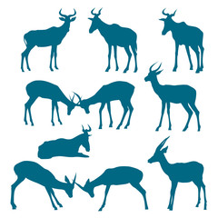 Silhouette of deers. Collection of hoofed animals.