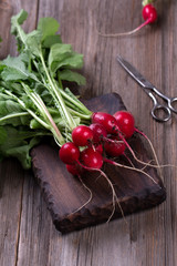 Bunch of fresh radishes