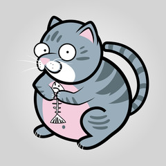 thick gray tabby cat