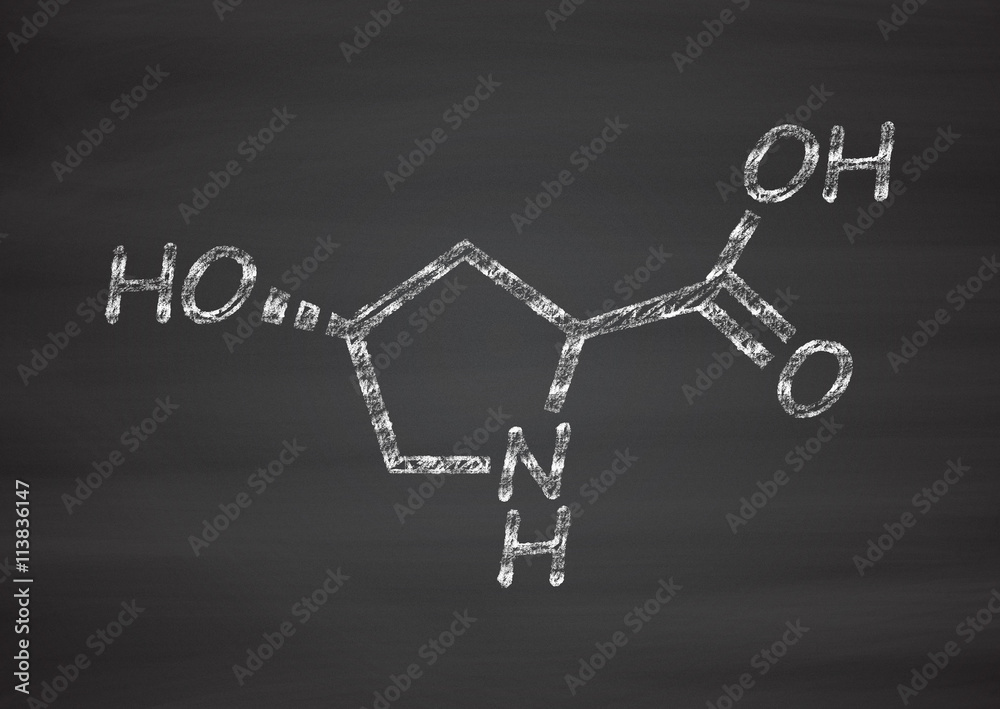 Poster Hydroxyproline (Hyp) amino acid. Essential component of collagen