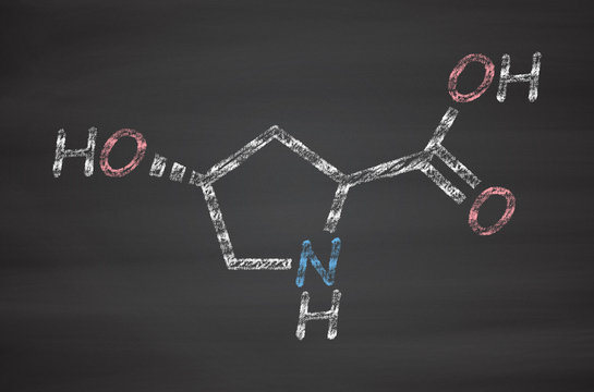 Hydroxyproline (Hyp) amino acid. Essential component of collagen