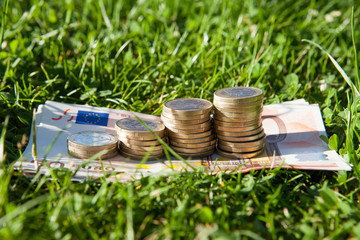 Euro money on grass