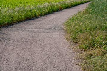 country road and field of green grass