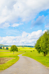 A road or path in a field on cloudy day, rural scenery