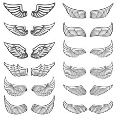Set of vintage wings isolated on white background.