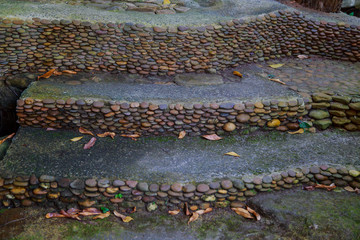 Cobble stone street, natural background.
