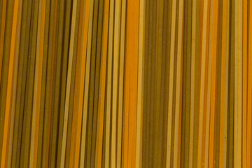 Obraz premium Bunch of various raw italian pasta