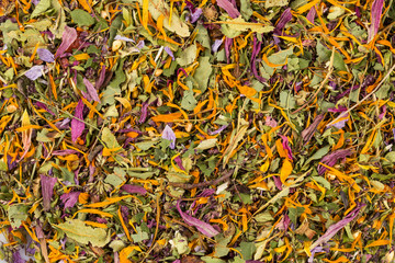 Dried herbal tea leaves