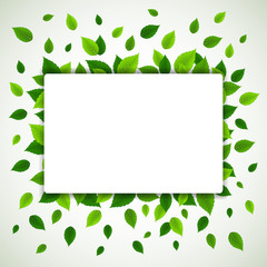 Nature background with green fresh leaves