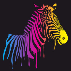 Vector rainbow zebra, abstract animal illustration. Safari zebra can be used for background, card, print materials - 113838175