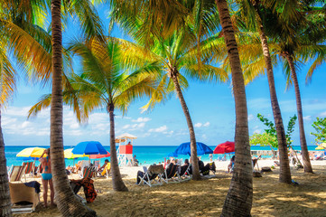 Palm trees on Jamaica beach in Montego bay