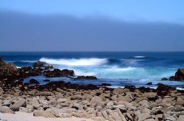Fototapeta na wymiar Monterey Bay Asilomar State Marine Reserve