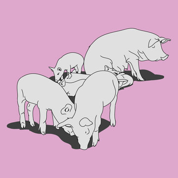 Pig and piglets (pink)