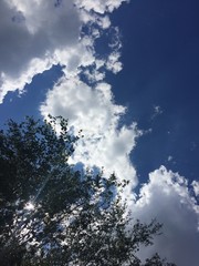 Fototapeta premium Relaks pod niebieskim niebem