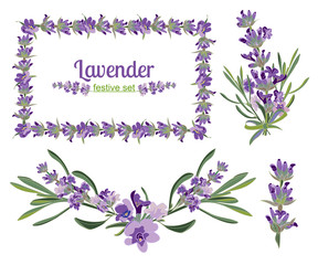 Set festive frames and elements with Lavender flowers for greeting card. Botanical illustration.