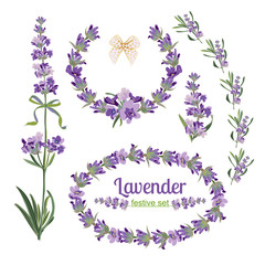 Set festive frames and elements with Lavender flowers for greeting card. Botanical illustration.