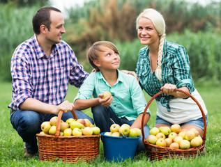 Family harvesting apples in garden