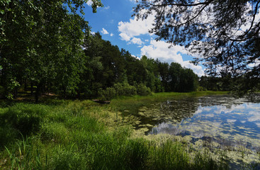 Pond in south Bohemia named Zdarsky