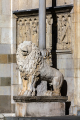 Lion at the entrance to the Modena Cathedral in Modena, Italy