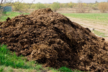Pile of manure