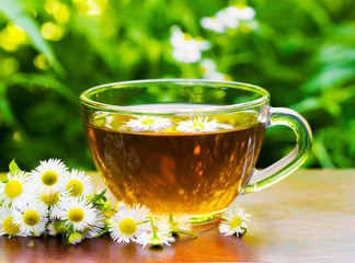 glass cup of tea with camomile flowers and camomile on the natural green vegetation background closeup