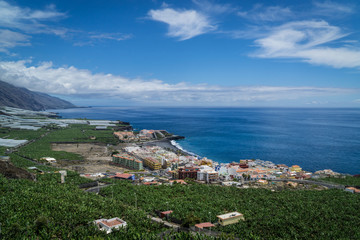 Fototapeta na wymiar Blick auf die Bananen Plantagen und Puerto Naos (La Palma / Kanarische Inseln)