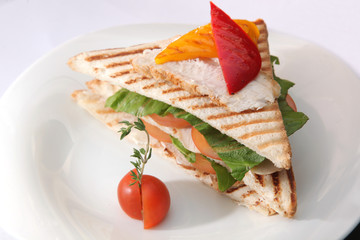 Fototapeta na wymiar sandwich with salmon and vegetables