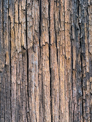 Wood background, with gran, wet and weathered, vertical lines.