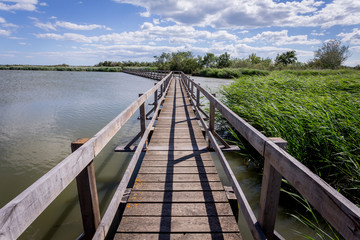 Passerelle et roseaux sur un étang