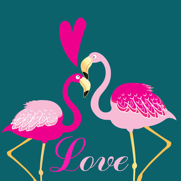 love birds flamingos